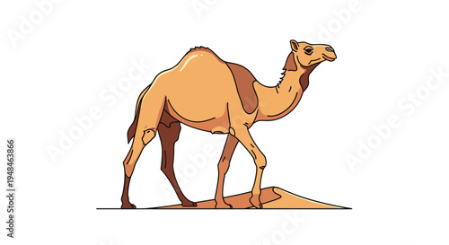 Majestic dromedary camel walking across a desert landscape, showcasing its single hump and resilient nature, an iconic desert animal.