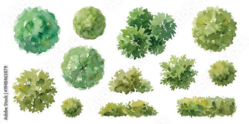 Watercolor set of top view bush shrub, hedge flower, garden architecture landscape plan elements, isolated on transparent background