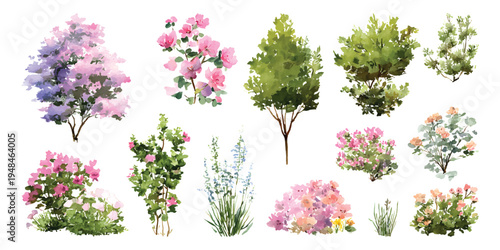 Watercolor set of spring garden plants, blossoming shrubs, blooming bushes and tall trees, architecture landscape plan elements, isolated on transparent background