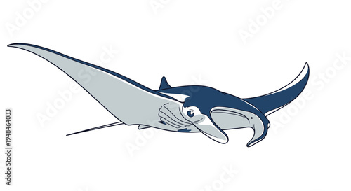 Graceful manta ray gliding through the ocean with its wide, wing-like pectoral fins, an iconic and gentle giant of the sea.