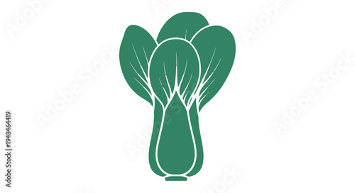 Simple Green Bok Choy Illustration Design.