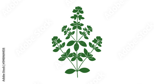 Green Plant with Leaves and Stems.