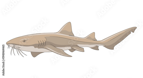 Graceful nurse shark with distinctive barbels and sleek body, swimming calmly against a clean white background, a nocturnal predator.