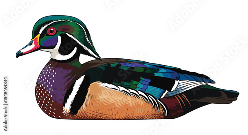 Beautiful wood duck floating calmly on water, showcasing its vibrant iridescent plumage and distinctive eye pattern, a colorful waterfowl.