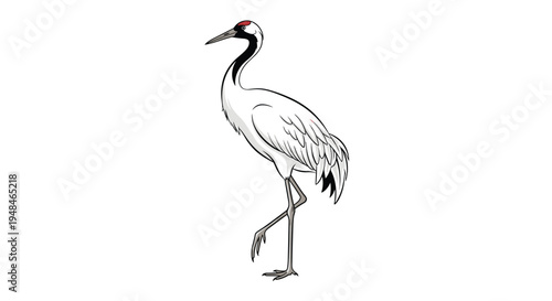 Elegant red-crowned crane standing on one leg, showcasing its distinctive red patch on its head and graceful form, a symbol of longevity.
