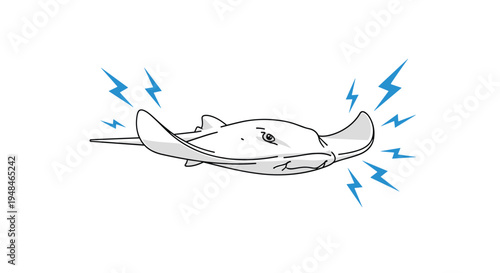 Dynamic black and white outline illustration of an electric ray, emphasizing its unique flattened body and lightning bolt symbols.