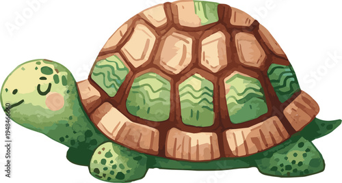Vector watercolor illustration of a tortoise