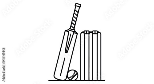 A simple line drawing depicts a cricket bat ball and wickets