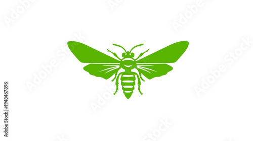 A symmetrical insect illustration in bright green against a plain white background