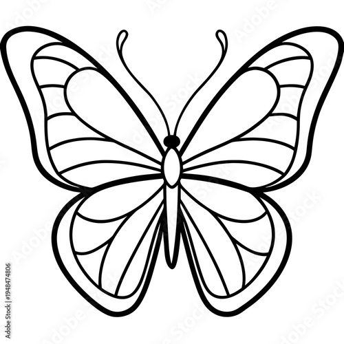 Simple line drawing of a butterfly with detailed wing patterns