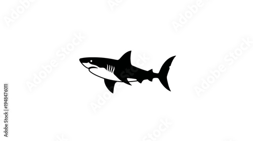 A black and white illustration depicts a shark in profile, set against a blank white backdrop