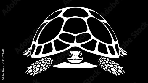 Black and white illustration of a turtle with a patterned shell and round eyes