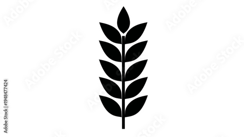 A stark, symmetrical graphic depicting a stylized plant. The leaves are black against white