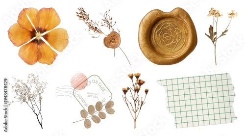 Vintage botanical elements collage