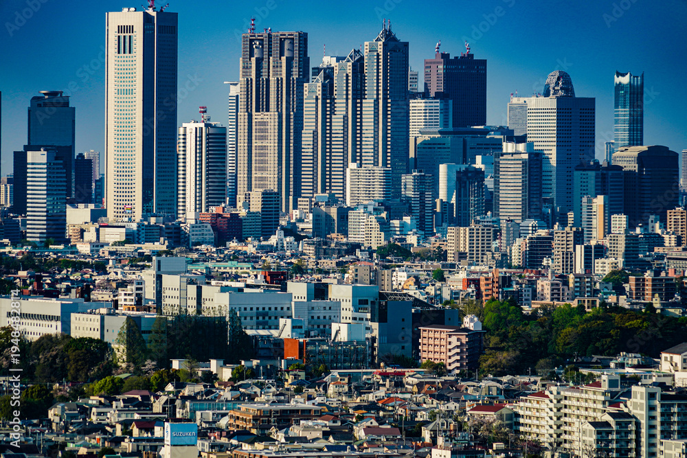Fototapeta premium 新宿摩天楼と住宅街