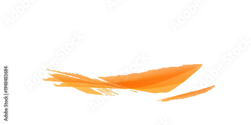 A single orange bird wing and a yellow autumn leaf vector element designed with a colorful nature pattern for an art illustration object