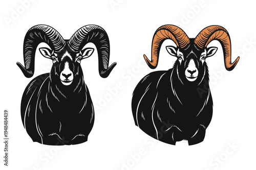 Black ram sheep with curved horns, one with orange