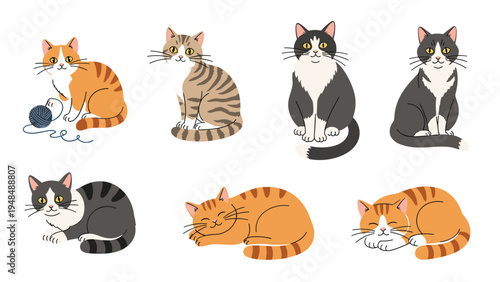 Collection of seven diverse cats in different poses like sitting lying and sleeping with various fur color patterns.