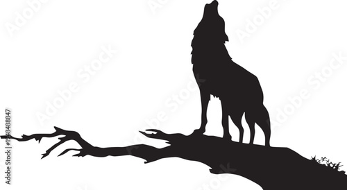 Black silhouette of a wolf howling on a tree branch isolated on white background.