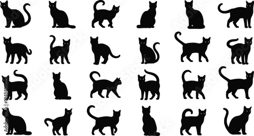 Cat silhouette collection, various feline poses, sitting standing walking, pet animal art, black white vector illustration