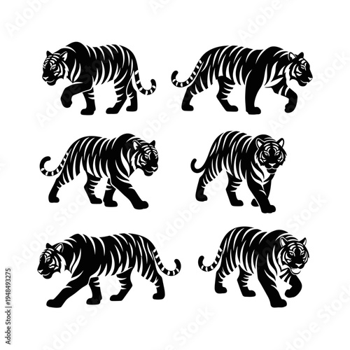 Black Tiger Silhouettes Collection: Walking and Prowling Animals