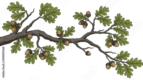Realistic illustration of a tree branch with green oak leaves and several acorns in clusters representing autumn and forest life.