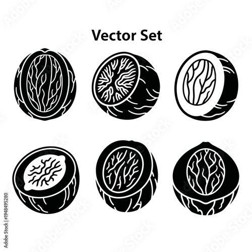 Nutmeg Seed Vector Set: Whole and Halved Illustrations