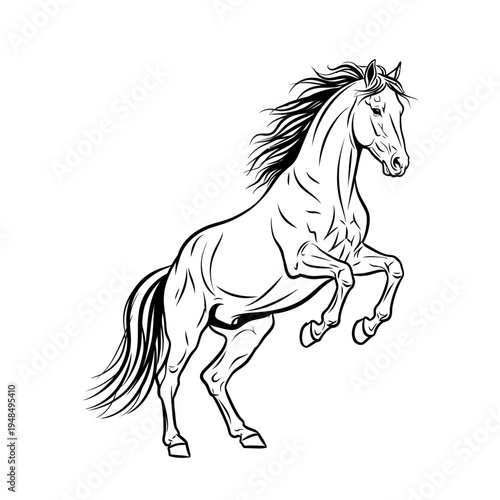 Powerful Rearing Horse Outline Drawing - Majestic Equine Illustration