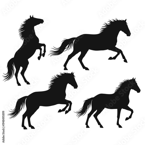 Silhouette Horses Galloping and Rearing - Vector Illustration