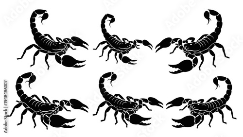 Six Black Scorpions Silhouette on White Background