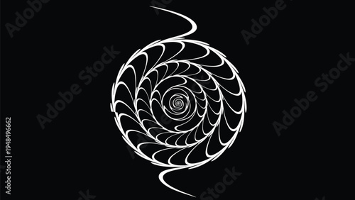 Intriguing white spiral pattern swirls against a deep black background creating a sense of motion and depth.