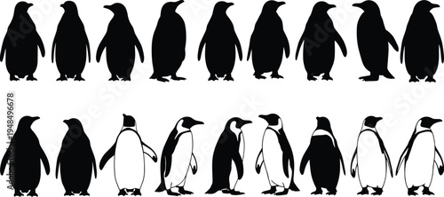 Penguin silhouette illustration set, wildlife bird posture artwork, animal nature vector drawing concept