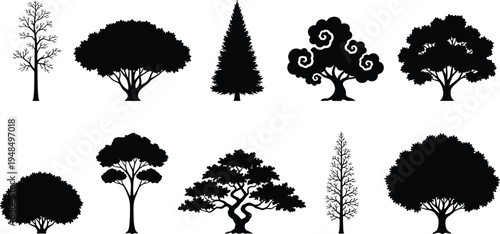 Collection of decorative and realistic tree silhouettes including pine deciduous and bare trees isolated as black vector icons for nature landscape design