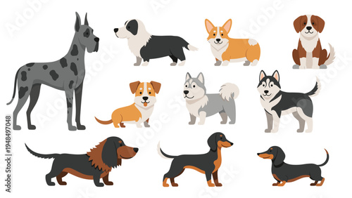 Diverse collection of various dog breeds including great dane, corgi, beagle, husky, and dachshund in a flat style.