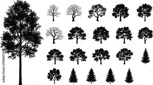 Collection of detailed tree silhouettes including oak deciduous and pine trees isolated as black vector icons for forest nature landscape design