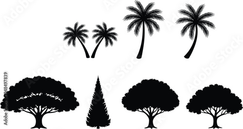 Collection of palm pine and deciduous tree silhouettes isolated as black vector icons for tropical forest nature landscape botanical design