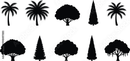 Collection of palm pine and deciduous tree silhouettes isolated as black vector icons for tropical forest nature landscape and garden design