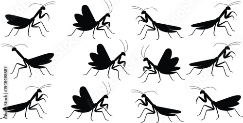 Praying mantis silhouette collection showing different insect poses with wings and legs isolated wildlife bug flat vector illustration set
