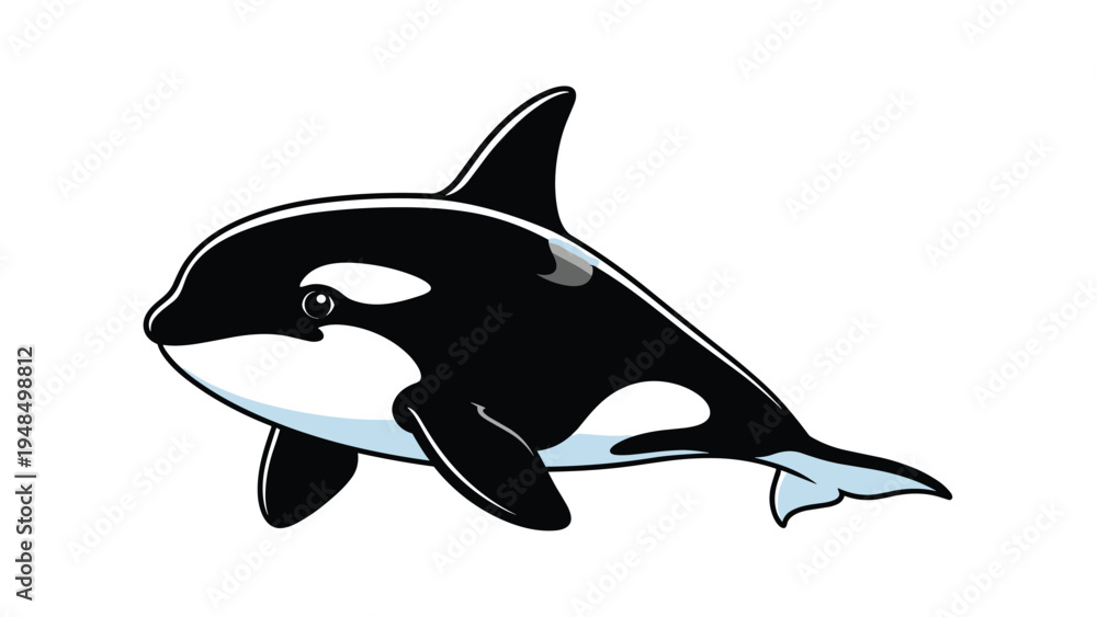 Fototapeta premium Simplified illustration of a black and white orca whale swimming gracefully in the water for marine life education or nautical themes.
