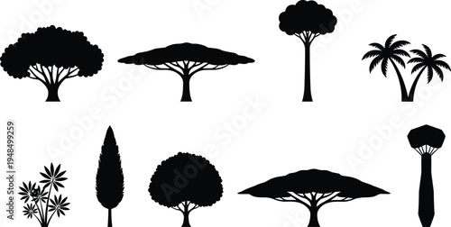 Collection of tropical and decorative tree silhouettes including palm acacia cypress and baobab trees isolated as black vector icons for nature landscape design