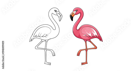 Two flamingo birds show outline and color drawing styles.
