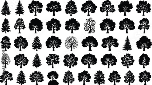 Large collection of detailed tree silhouettes including deciduous pine and decorative trees isolated as black vector icons for forest nature landscape design