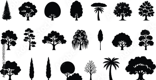 Large collection of diverse tree silhouettes including pine palm willow and deciduous trees isolated as black vector icons for forest nature landscape design