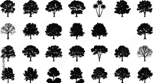 Large collection of realistic tree silhouettes including deciduous woodland and palm trees isolated as black vector icons for forest nature landscape design