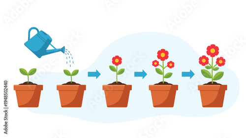 Infographic showing the life cycle and growth stages of a red flower in a clay pot from a small sprout to a full plant with multiple blooms.