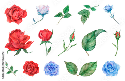 PNG Vibrant watercolor roses and leaves on transparent background