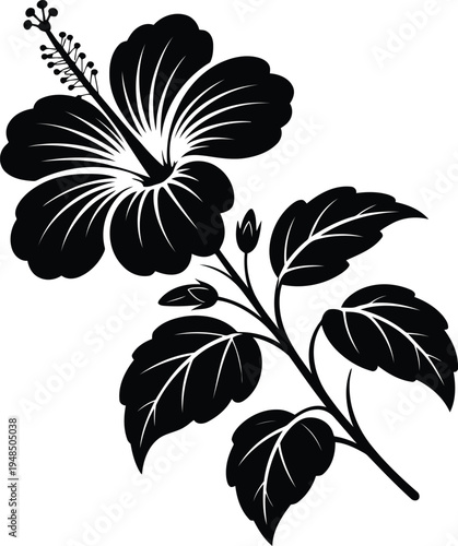 A black and white illustration of a hibiscus flower with leaves and buds