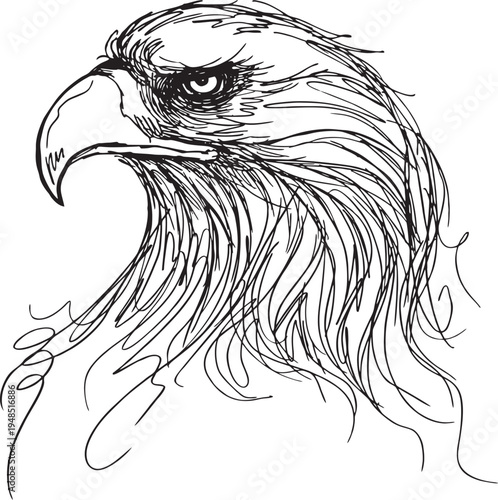 Eagle - sketch vector illustration isolated 