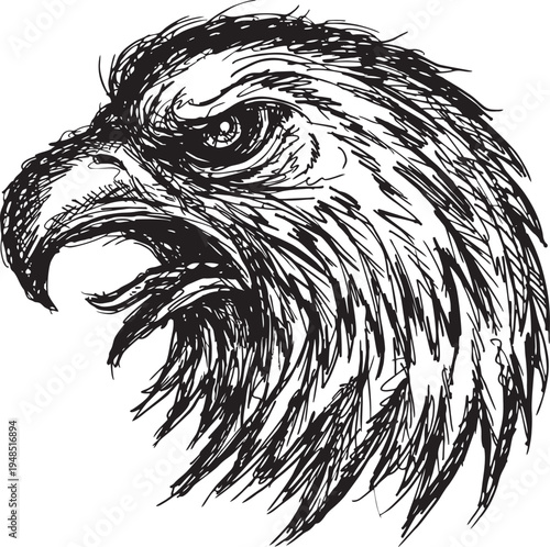 Eagle - sketch vector illustration isolated 