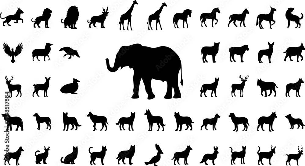 Fototapeta premium Collection of various wild animal and domestic pet black silhouettes vector graphic icons set